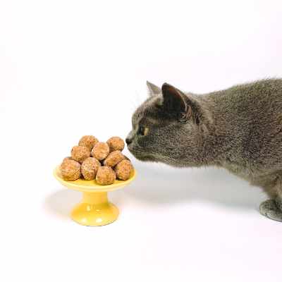 A Kitty Cat Sniffing Some Sweets On A Platter