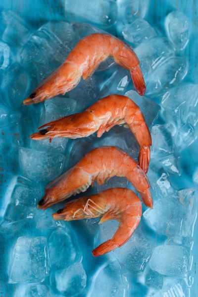 some shrimp on ice
